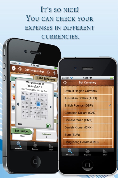 Expenses Tracker Lite screenshot-4