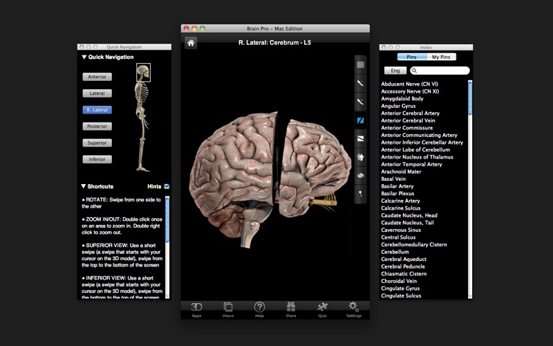 Brain Pro screenshot1