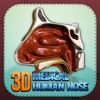 3D Medical Human Nose