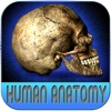 Atlas Of Human Anatomy HD