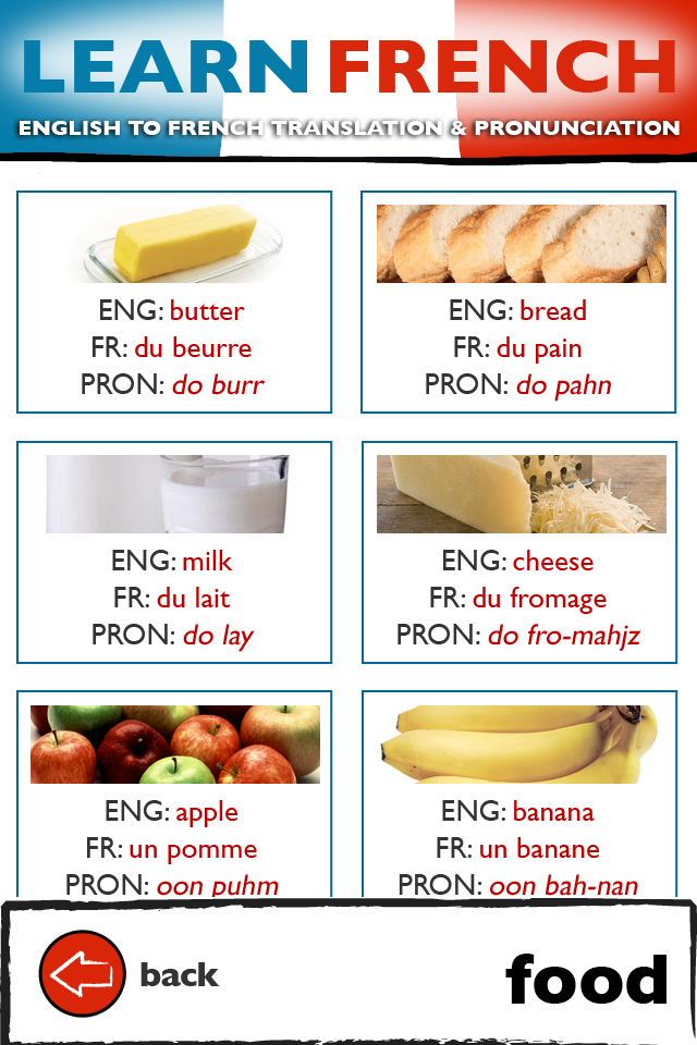 Learn French Plus - Audio Pocket Translator screenshot 3