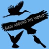 Birds Around the World