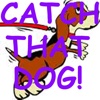 CatchThatDog