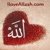 I Love Allaah