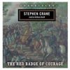 The Red Badge of Courage (by Stephen Crane) (UNABRIDGED AUDIOBOOK)