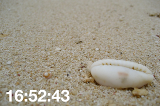 Okinawa Clock screenshot