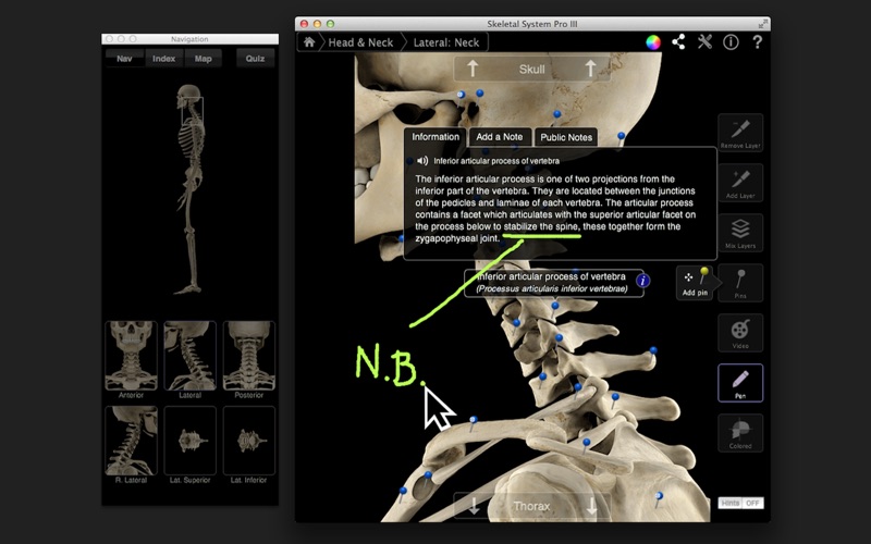 skeletal system pro iii iphone screenshot 2