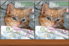 Cats Spot the Difference screenshot