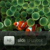 Slide to unlock Pro