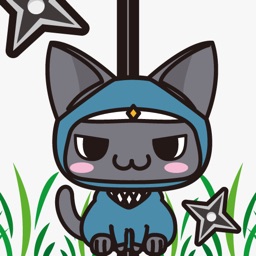 Ninja Cat Ranger