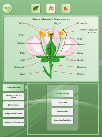 Biology - Plant handbook Freeのおすすめ画像2