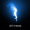 CET-4 Words