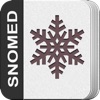 SNOMED CT Lite