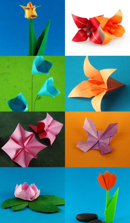 Origami Flowers