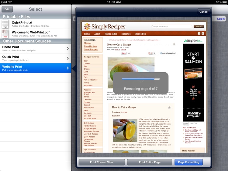WebPrint for Print Manager Plus screenshot-3