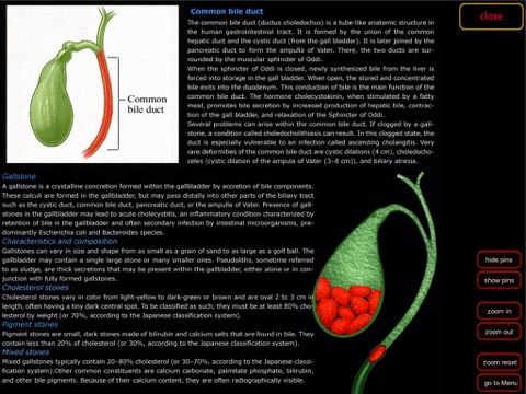 Anatomy Digestive 3D Organs screenshot 3