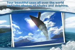 Game screenshot REAL WHALES  Find the cetacean. mod apk