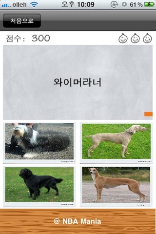 Doggy - Dogs Quiz & Puzzle screenshot 3