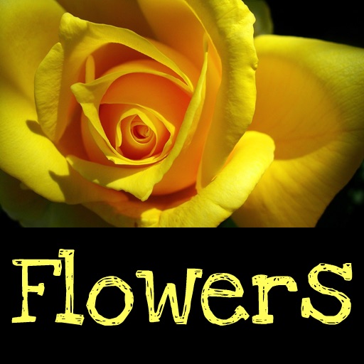 Flowers with Voice Recording by Tidels