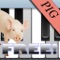 Enjoy pig sound effects with piano key style