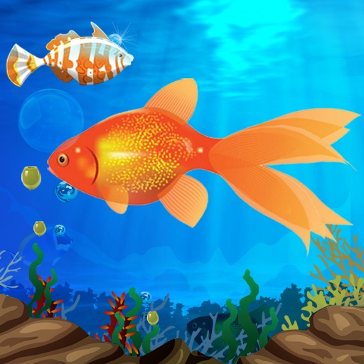 Hungry Fish iOS App