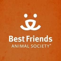 Best Friends Magazine HD