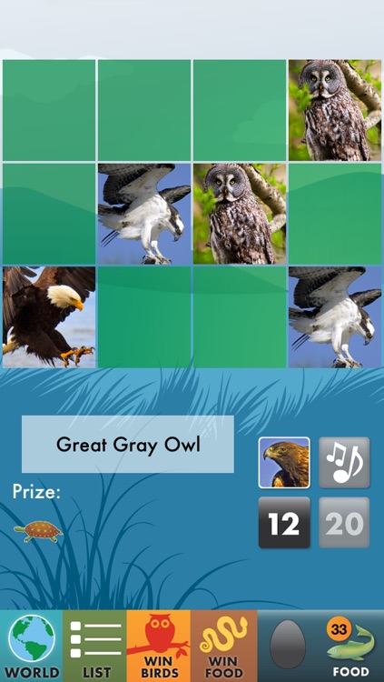 My Birds of Prey Lite