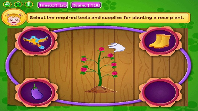 Plant Farm(圖4)-速報App