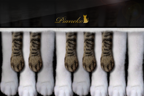 Piano Cat screenshot 3