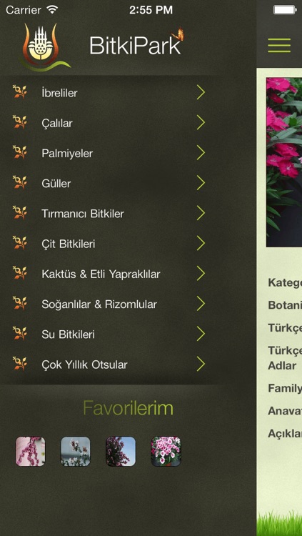 BitkiPark screenshot-4