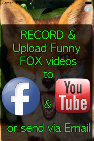 What Does The FOX Say- Talking FOX screenshot 2