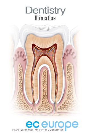 Miniatlas Dentistry