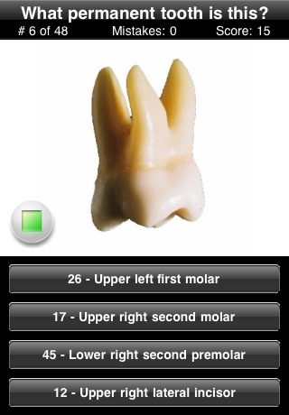 Animated Tooth Quiz Screenshot 3