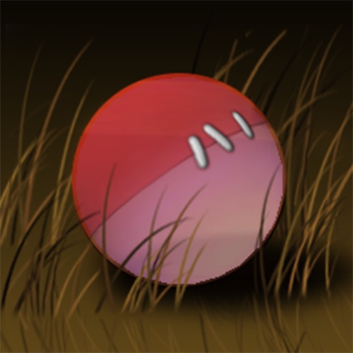 Pirate Ball icon