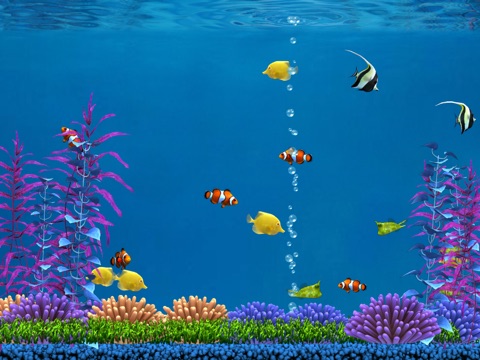 Colorful Aquarium for iPad Lite screenshot 3