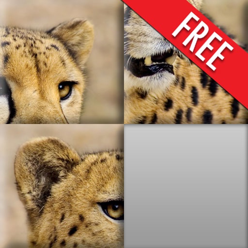 Kids Puzzles - African Plains - Free App Icon