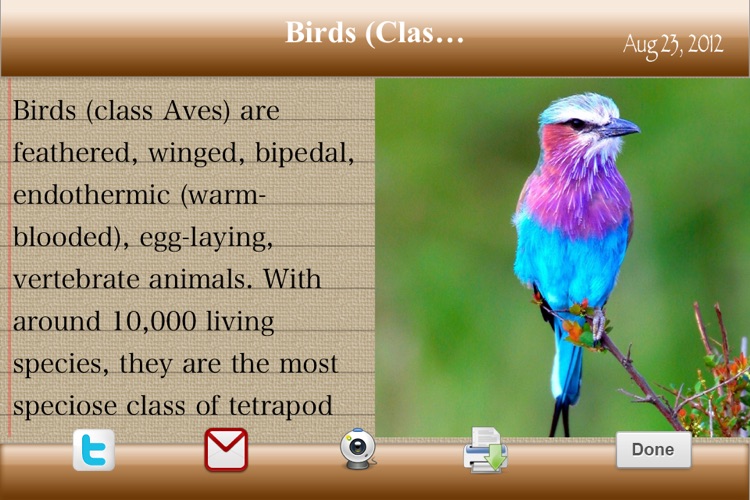 iJournals and Notes screenshot-4