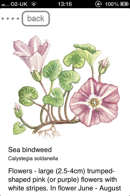 FSC Sand Dunes Guide