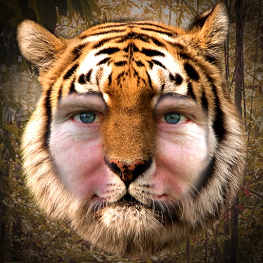 Tiger Me HD icon