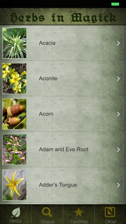 Herbs in Magick