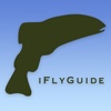 iFlyGuide