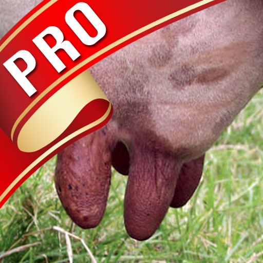 Milk it! Pro icon