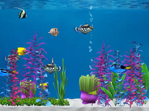 Colorful Aquarium for iPad screenshot 3