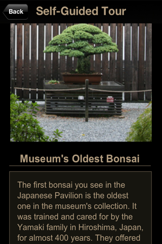 National Bonsai & Penjing Museum screenshot 2