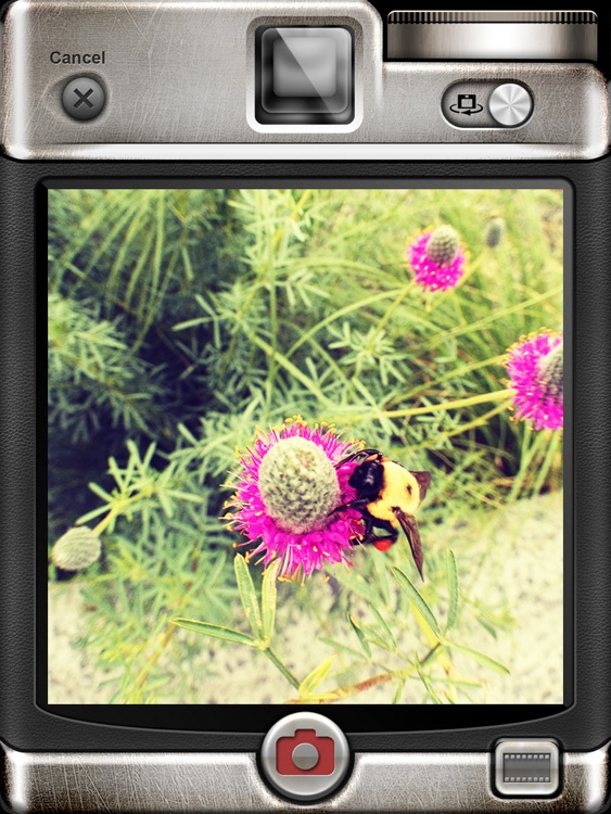 Vintage Camera Pro for iPad