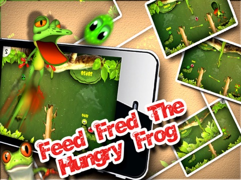 Hungry Froggie HD screenshot 2