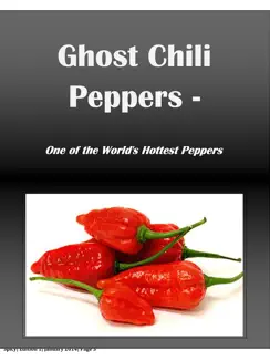 All About Spicy Food: Spicy Magazine iPad image 3