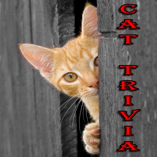 Cat Trivia Cat Trivia