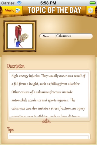 Anatomy Muscle and Bone: Visual Game & Dictionary screenshot 4