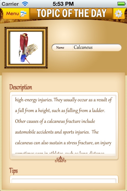 Anatomy Muscle and Bone: Visual Game & Dictionary screenshot-3